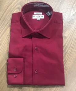 Modena Solid Slim Fit Dress Shirt - 2 Colors Men’s Tops