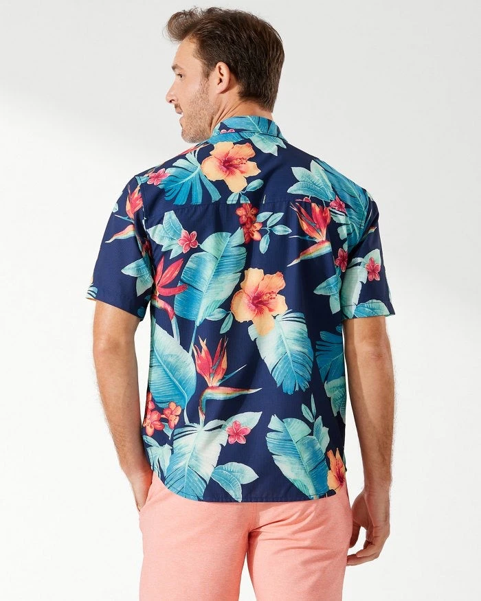 Tommy Bahama Coast Paradiso 4 Tommy Bahama Coast Paradiso