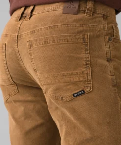 Prana Sustainer Pant